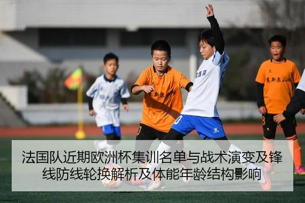 法国队近期欧洲杯集训名单与战术演变及锋线防线轮换解析及体能年龄结构影响