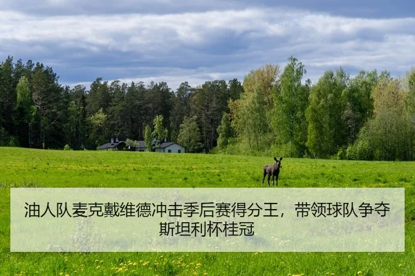 you-ren-dui-mai-ke-dai-wei-de-chong-ji-ji-hou-sai-de-fen-wang-dai-ling-qiu-dui-zheng-duo-si-tan-li-bei-gui-guan-2-893.jpg