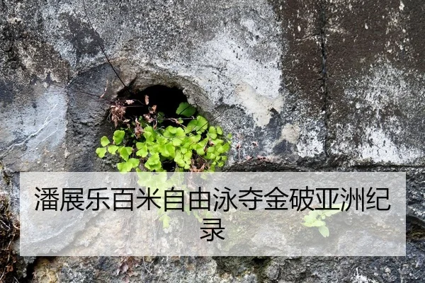 潘展乐百米自由泳夺金破亚洲纪录