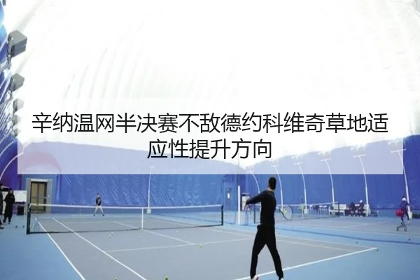 辛纳温网半决赛不敌德约科维奇草地适应性提升方向